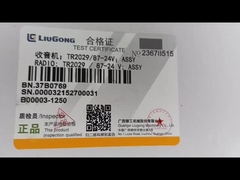 লিউগং রেডিও